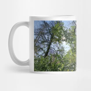 An endless forest Mug